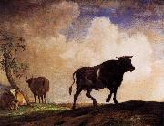 paulus potter The Bull oil on canvas